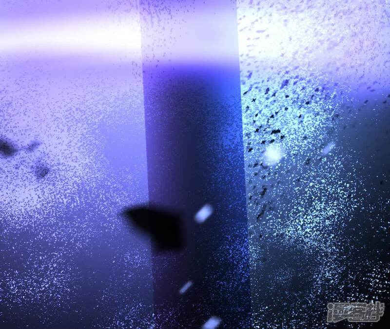 第216页
