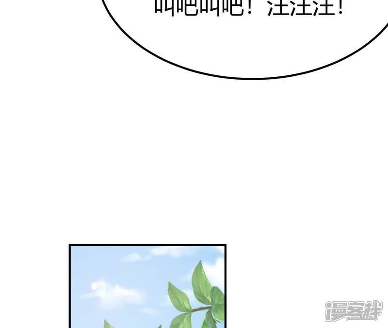 第223页