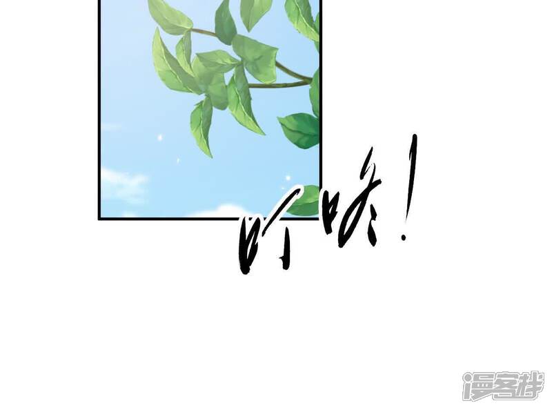 第224页