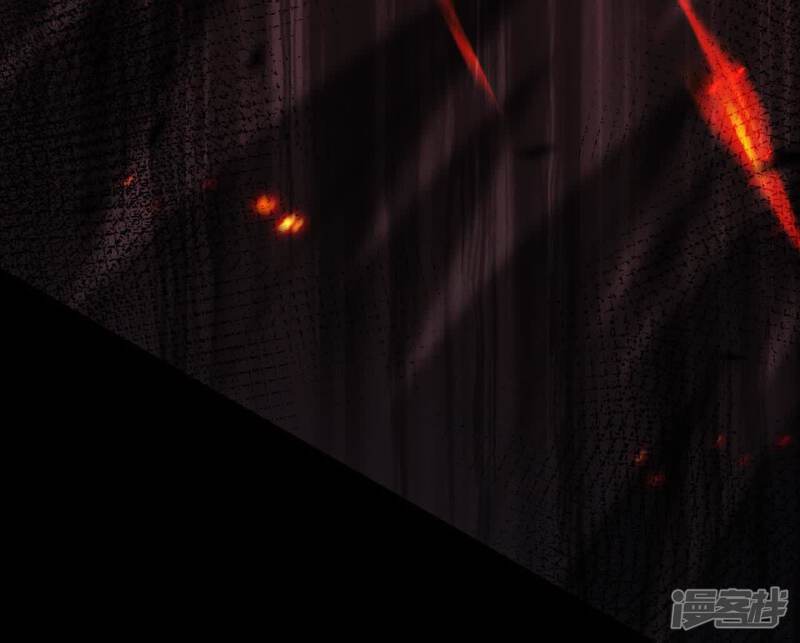 第219页