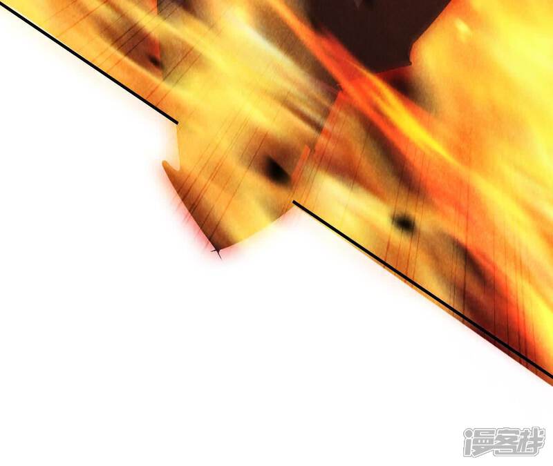 第242页