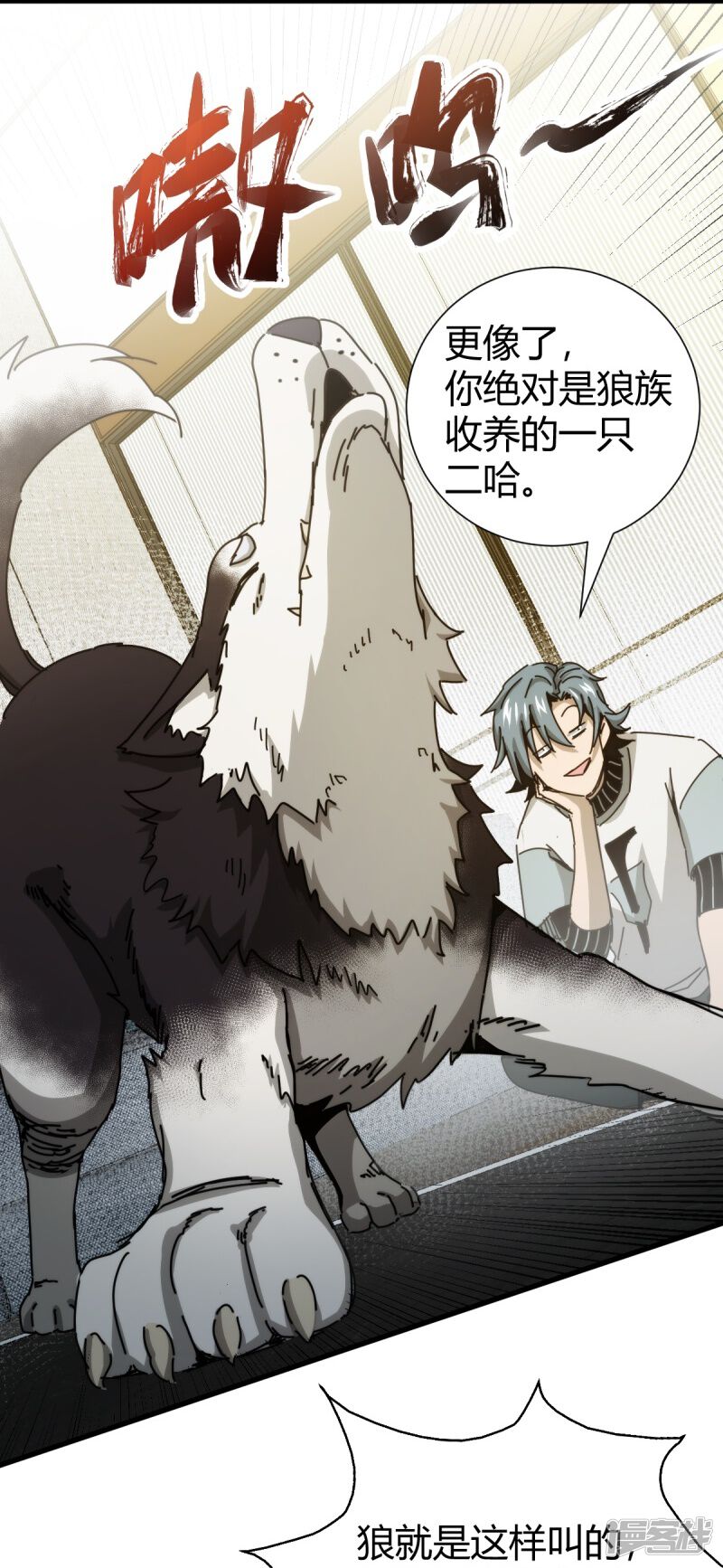 第11页