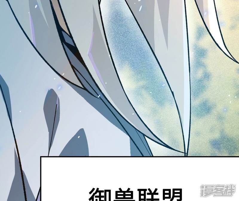 第223页