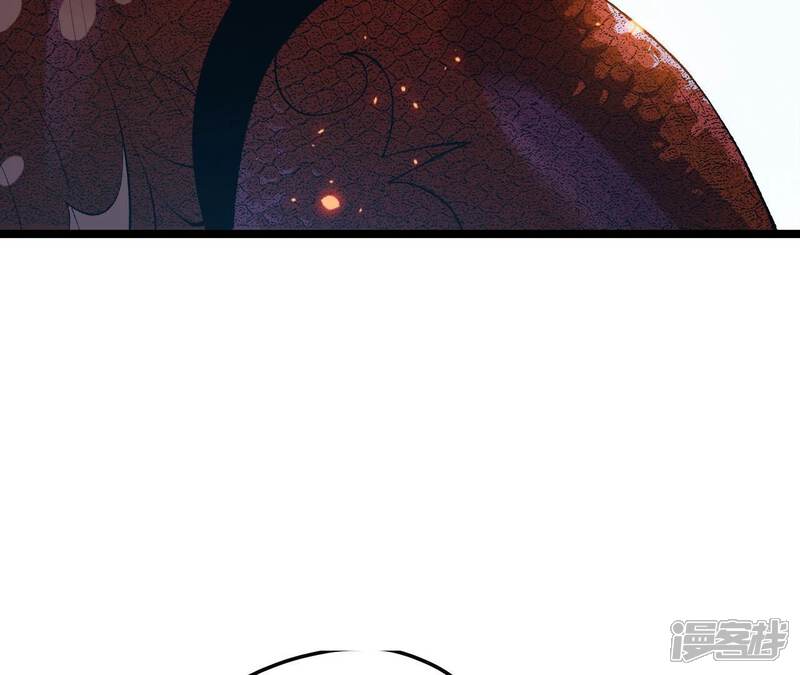 第237页