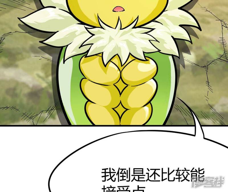 第333页