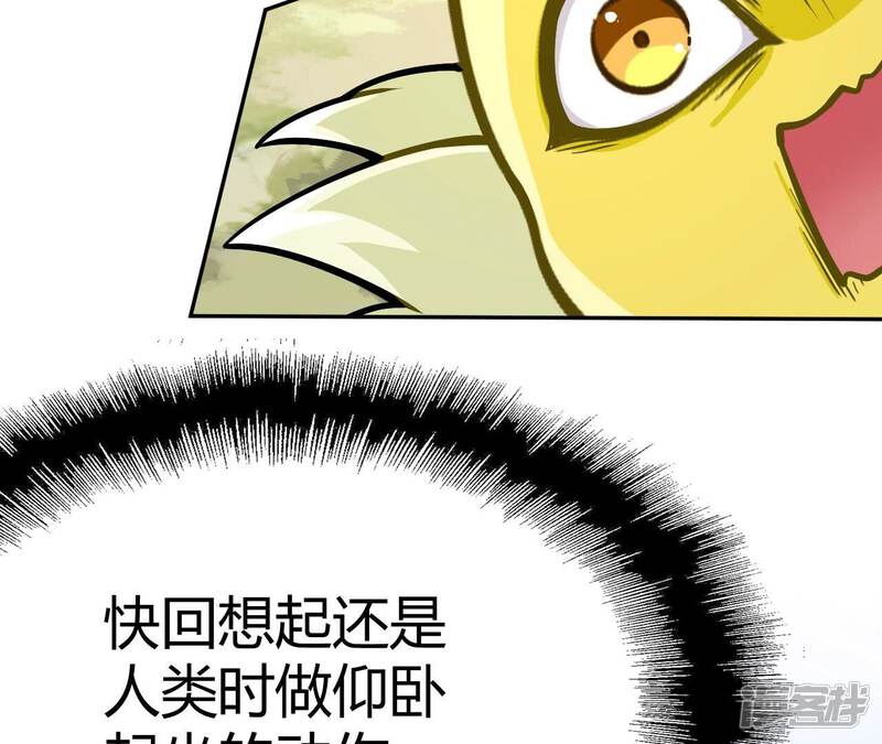 第384页