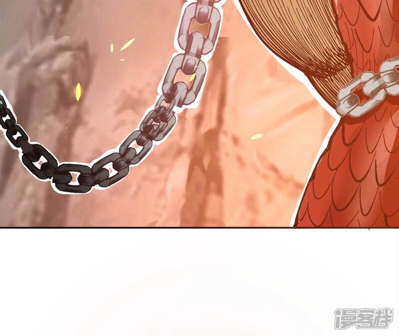 第567页