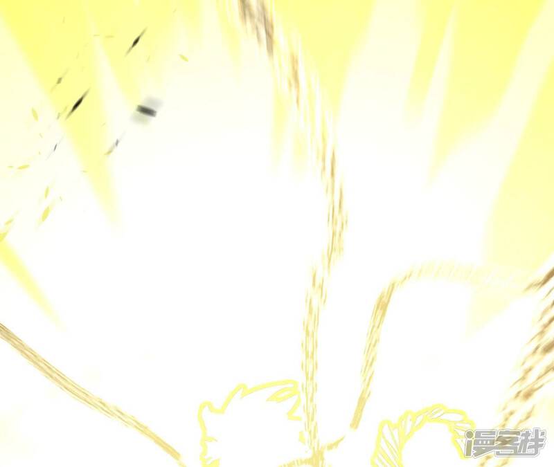 第211页
