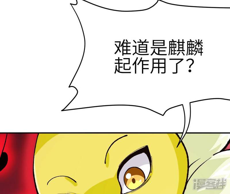 第242页
