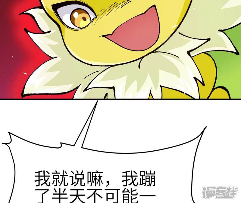 第243页