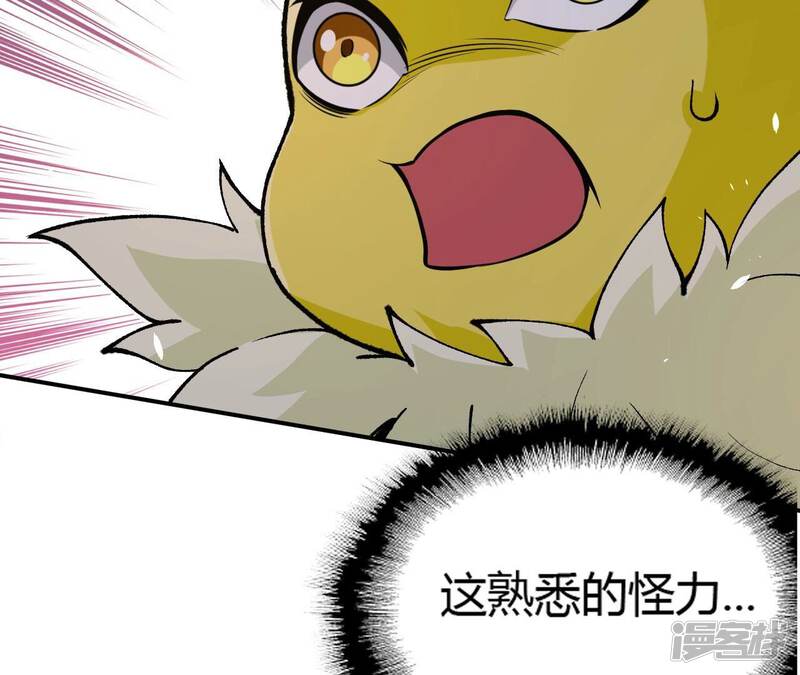 第219页