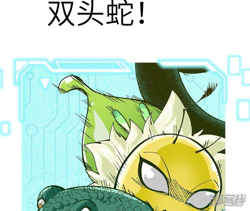 第250页