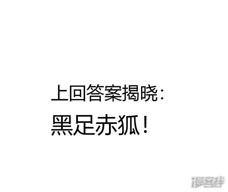 第238页