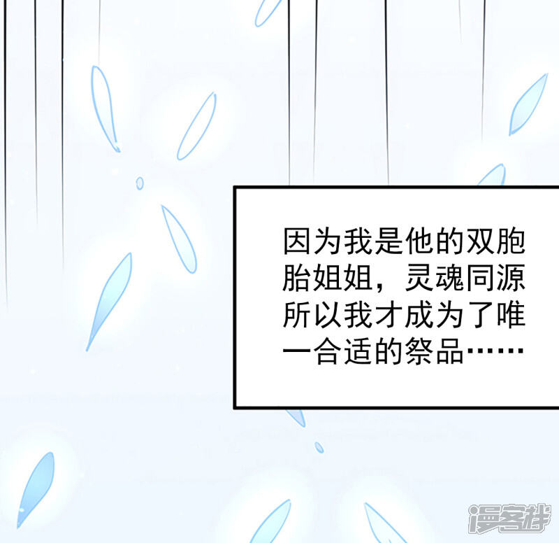 第241页