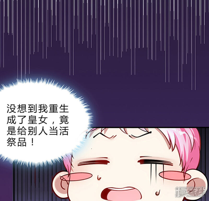 第244页