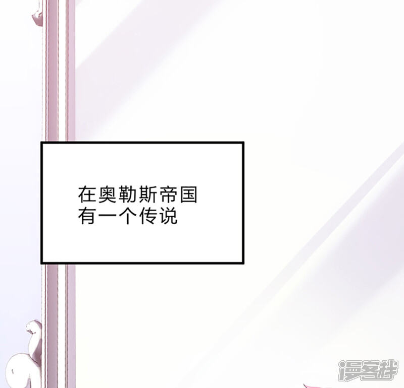 第255页