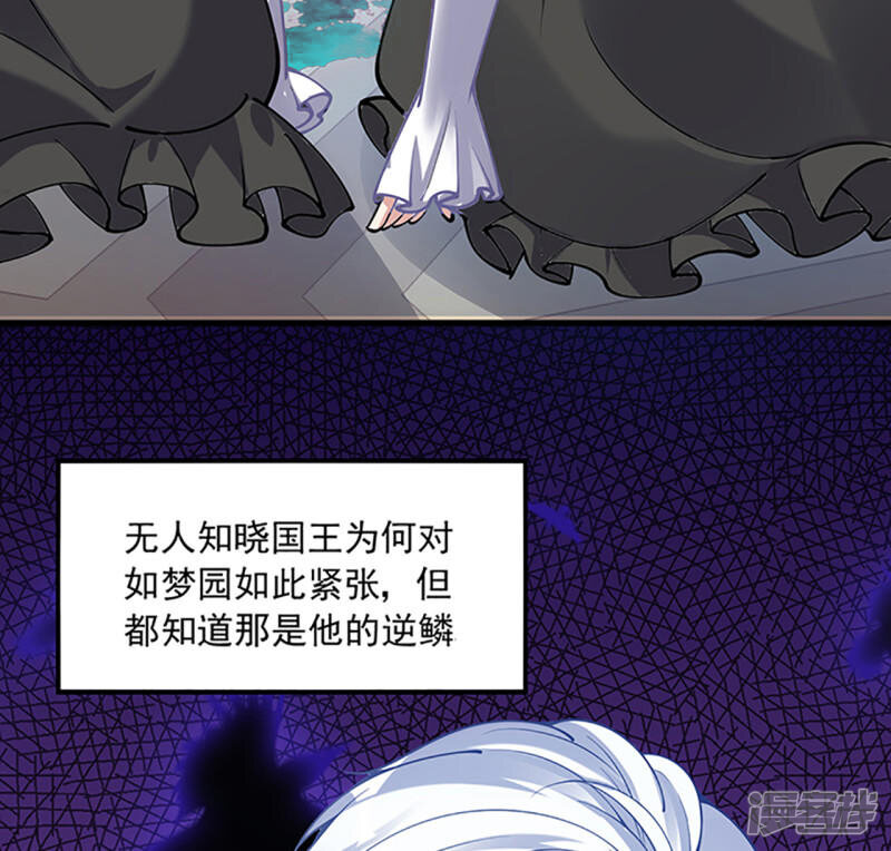第426页