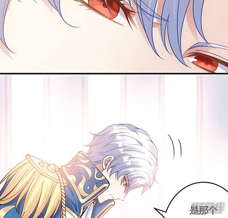第446页