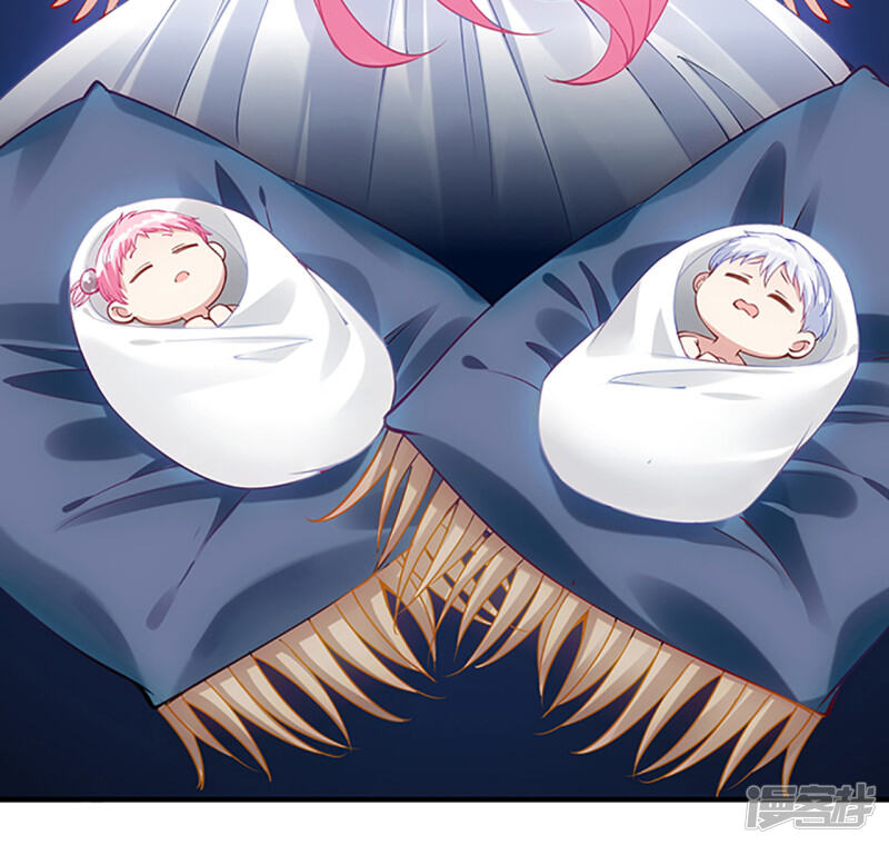 第231页