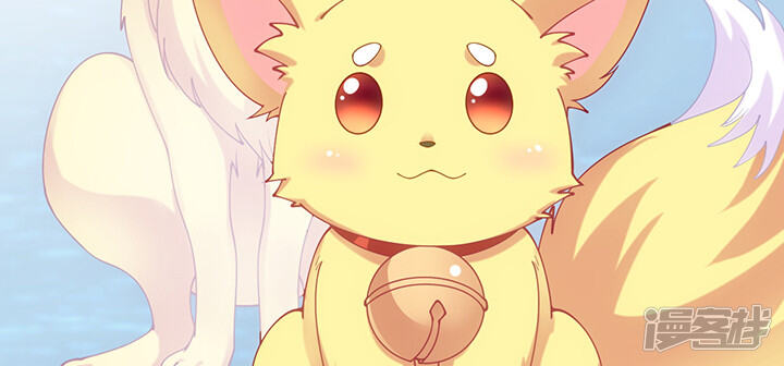第213页