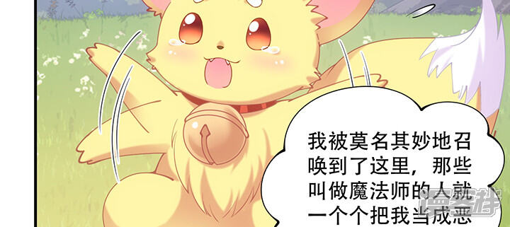 第224页