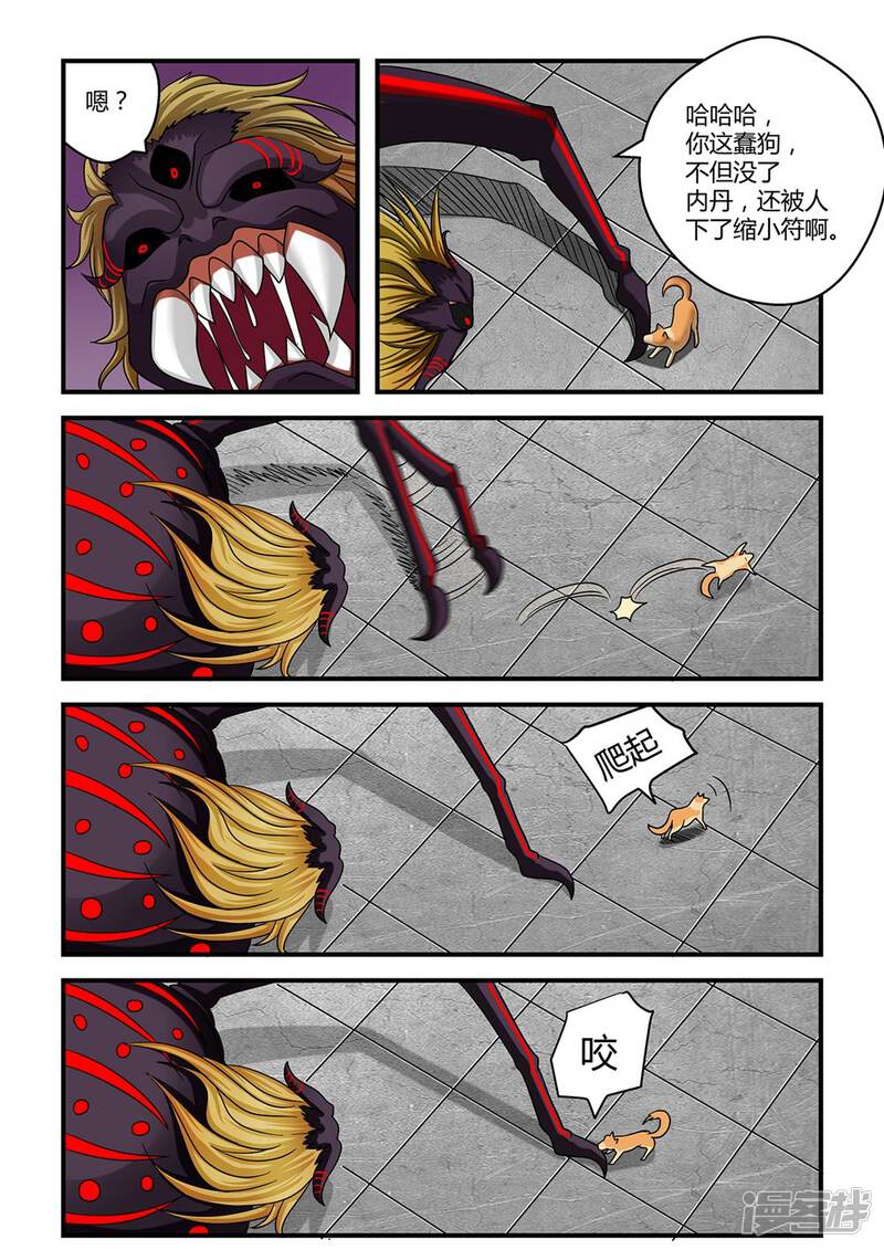 第5页