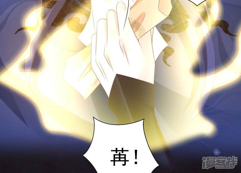 第207页