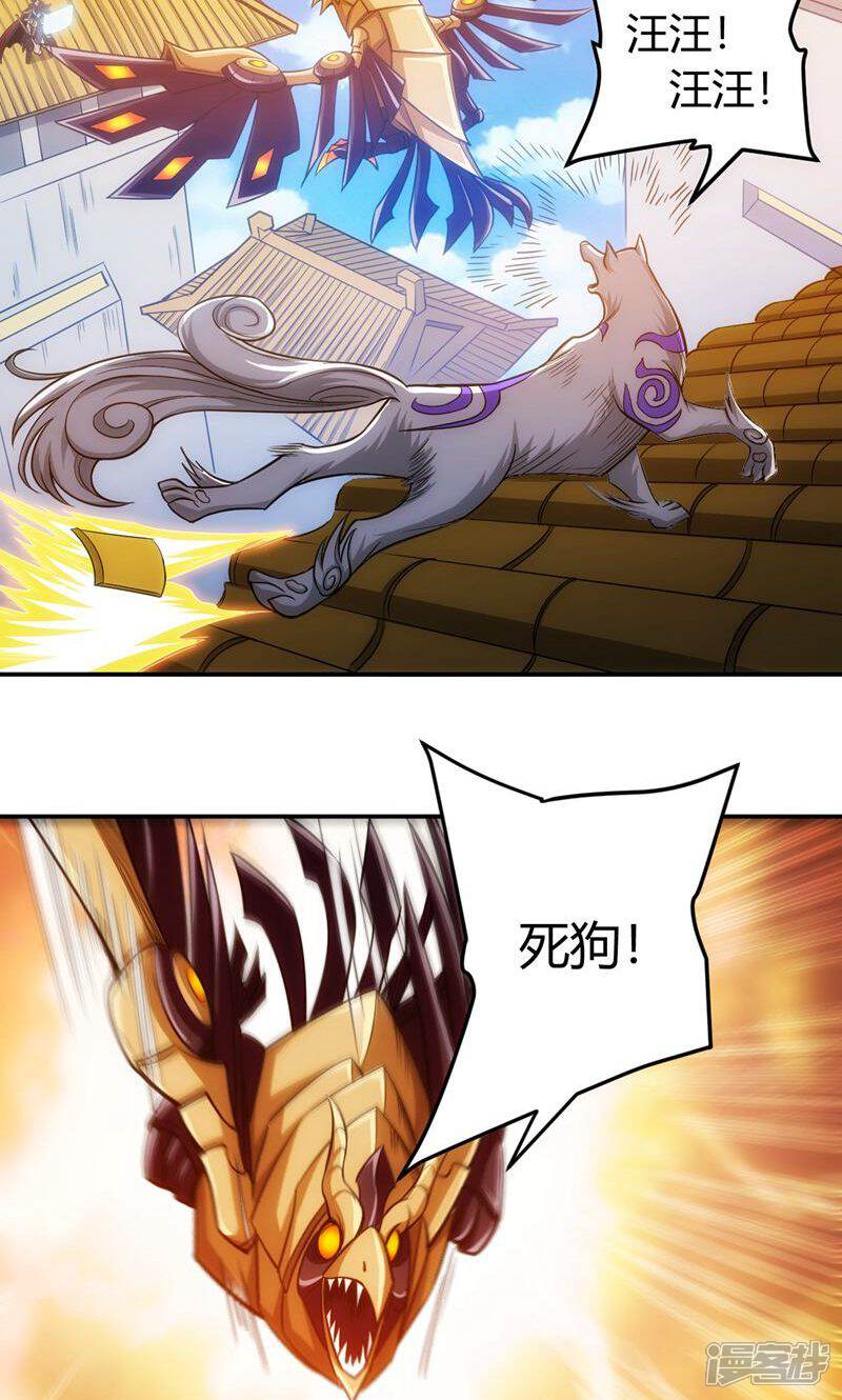 第43页