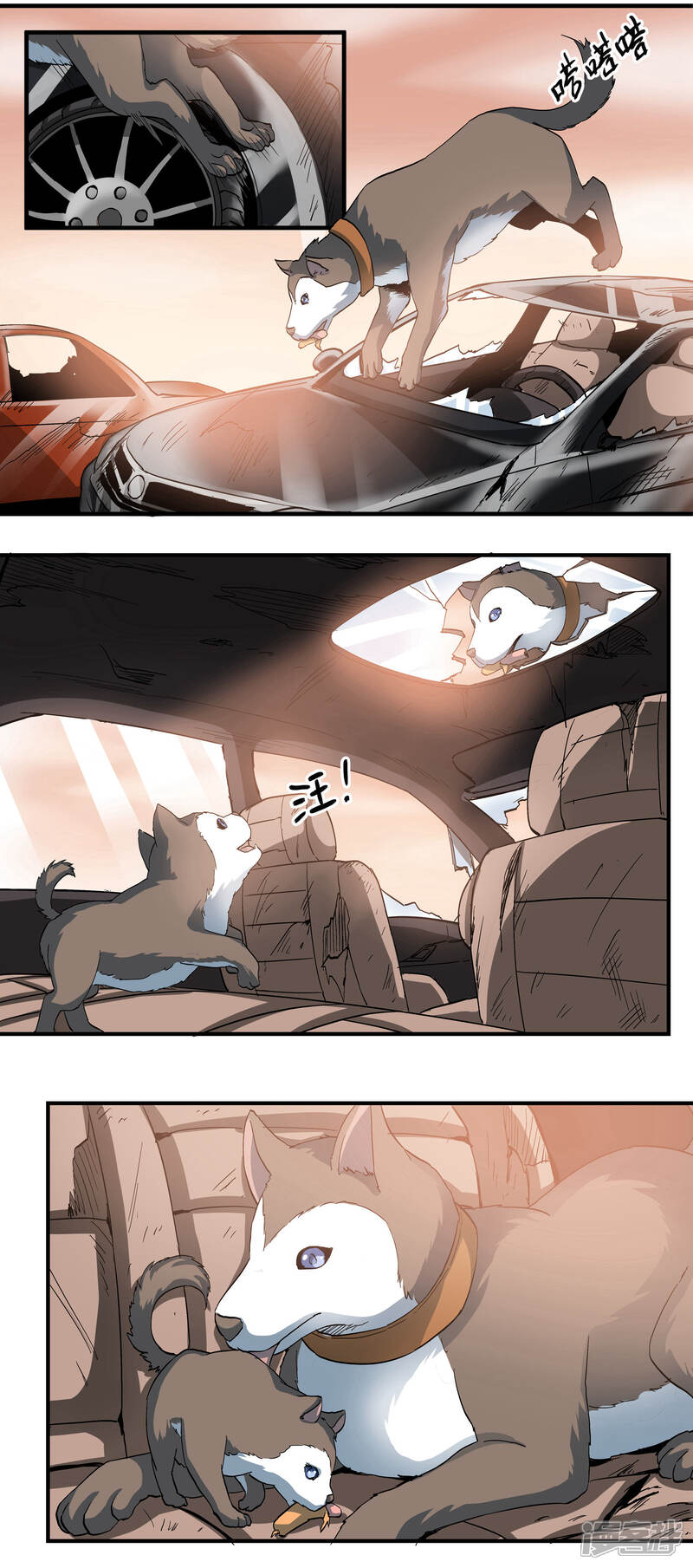 第3页