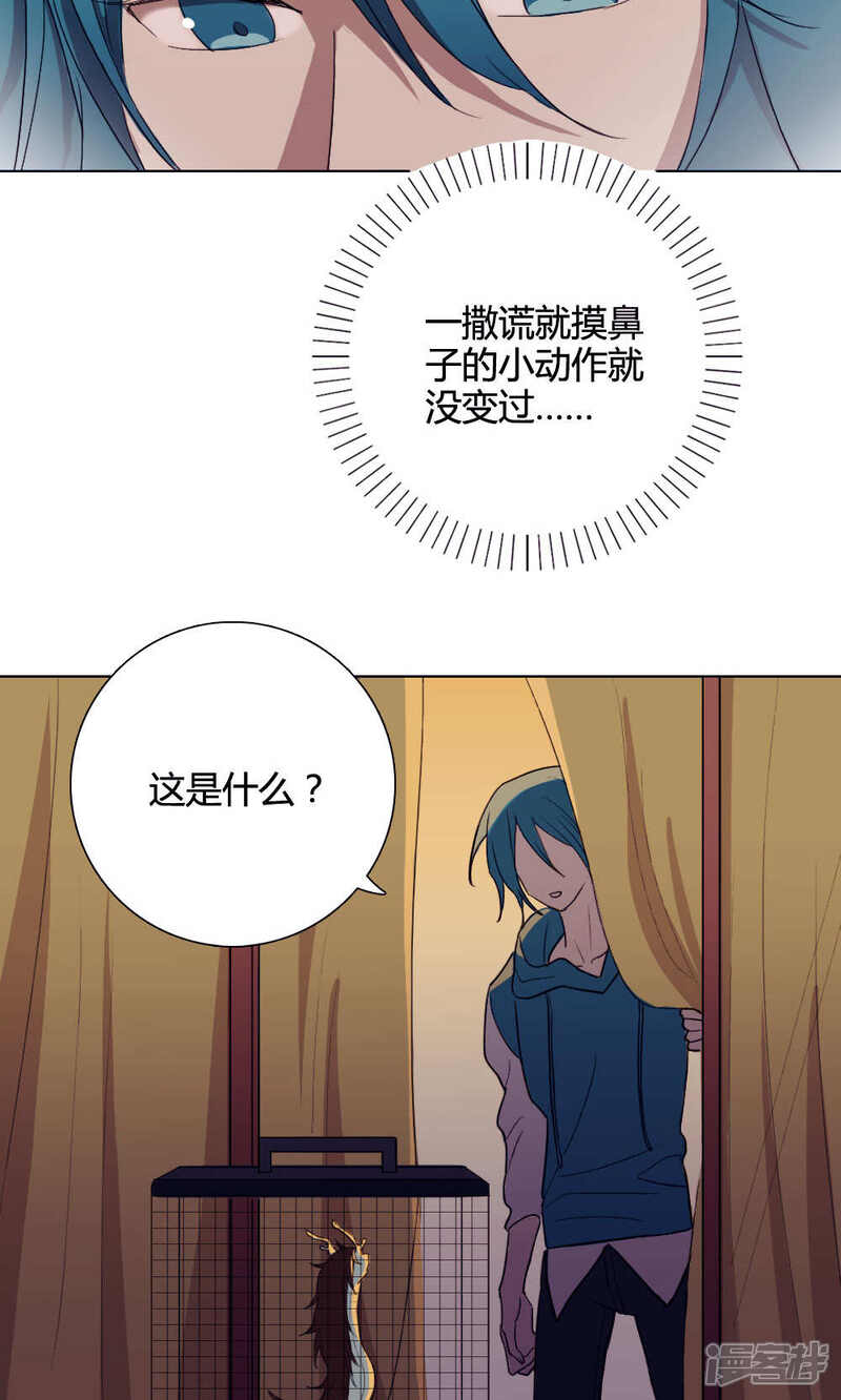 第51页