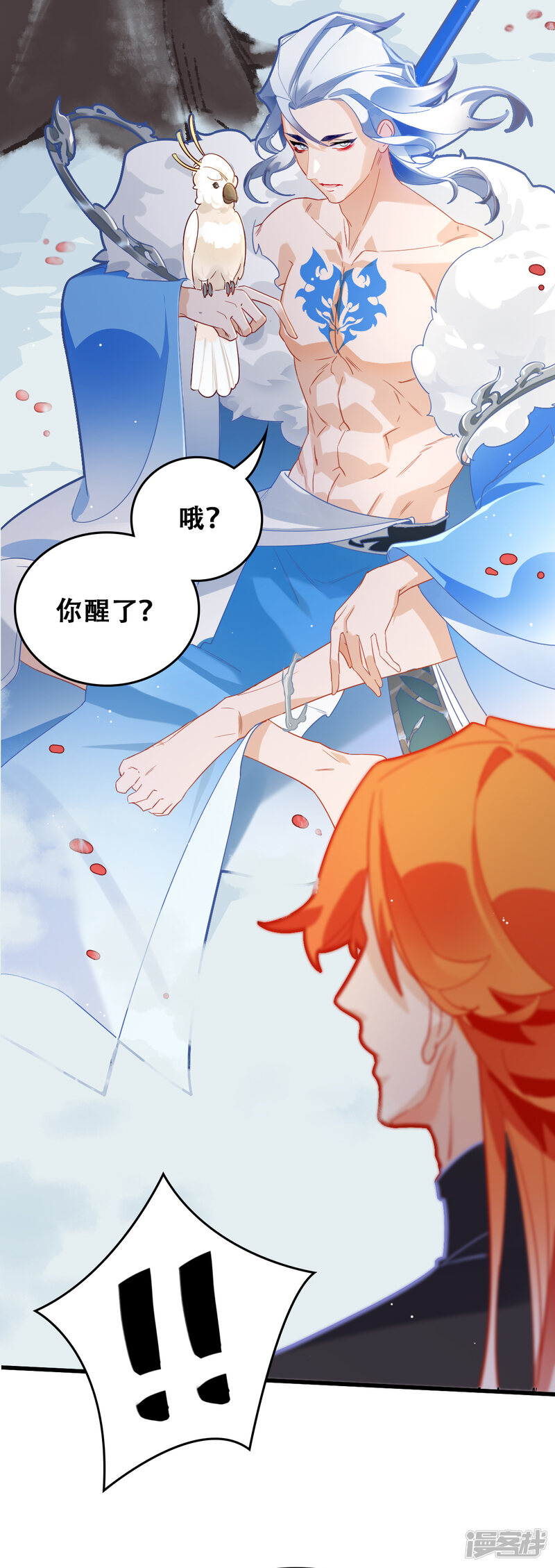 第46页