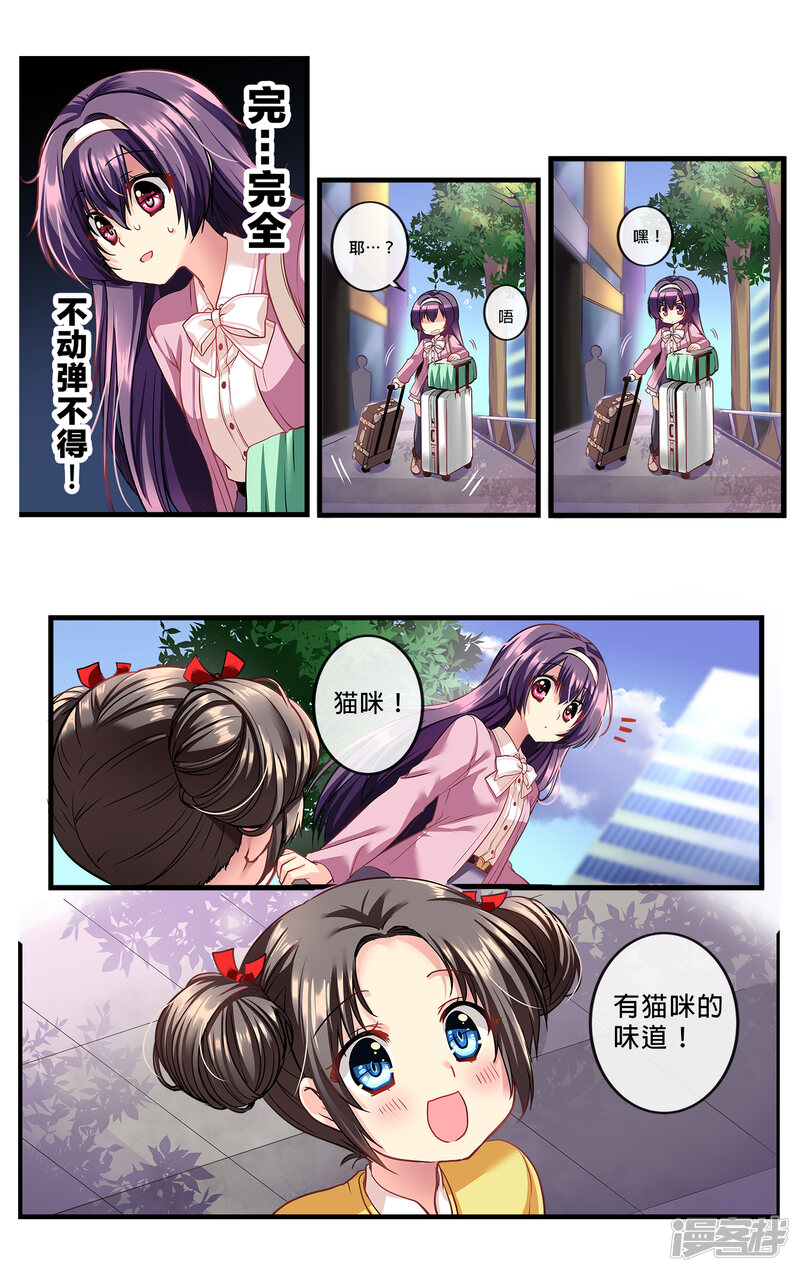第41页