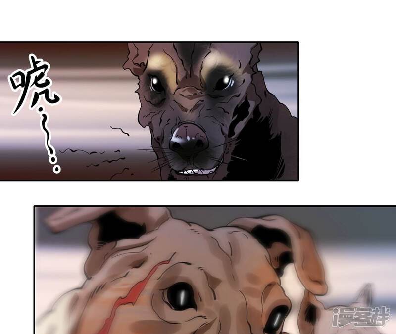 第80页