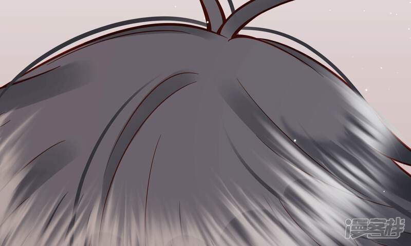 第242页