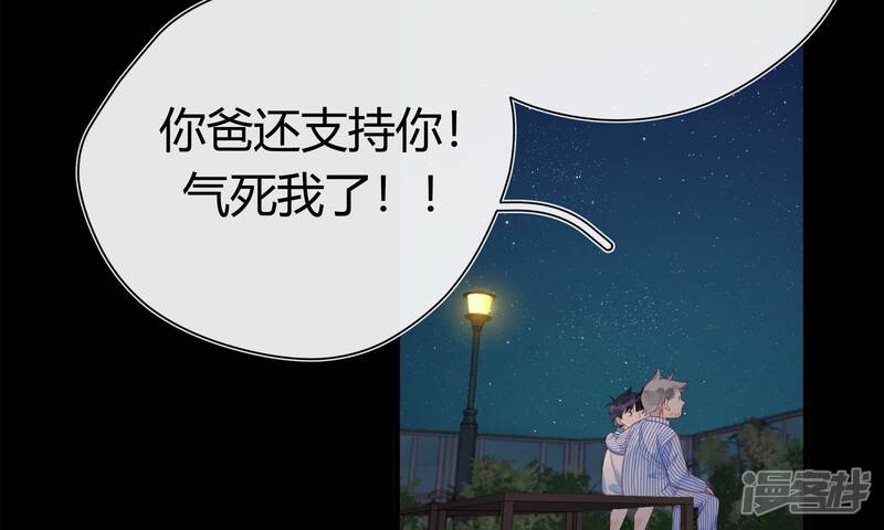 第204页