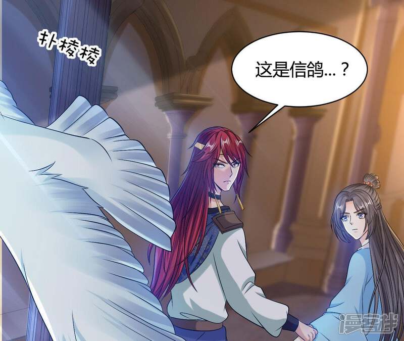 第48页
