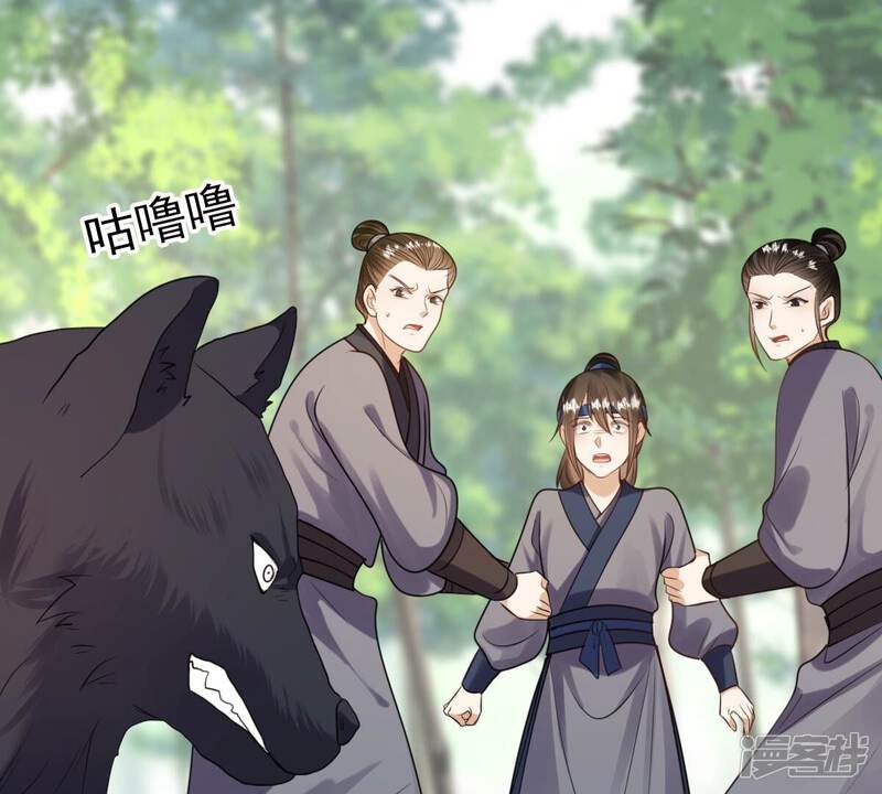 第51页
