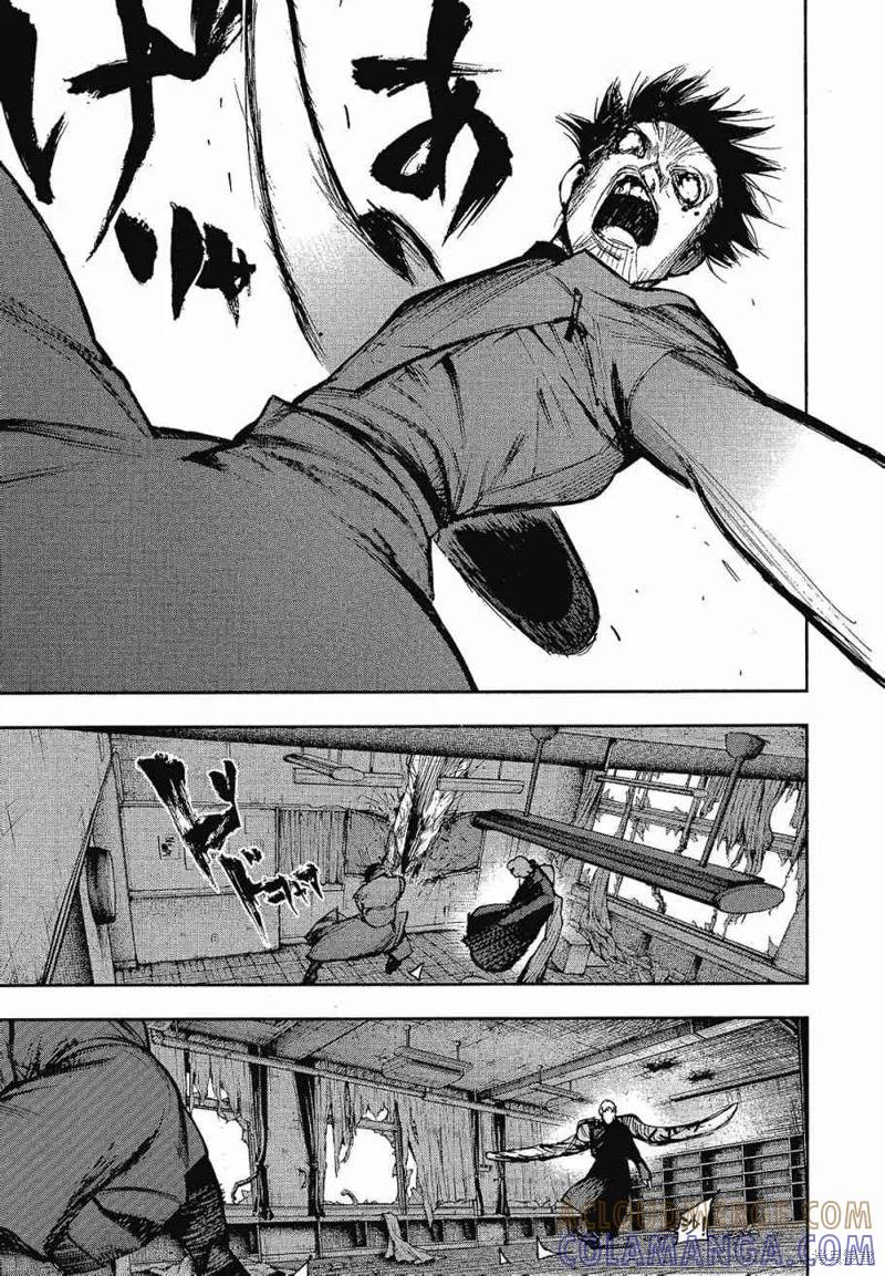 第217页