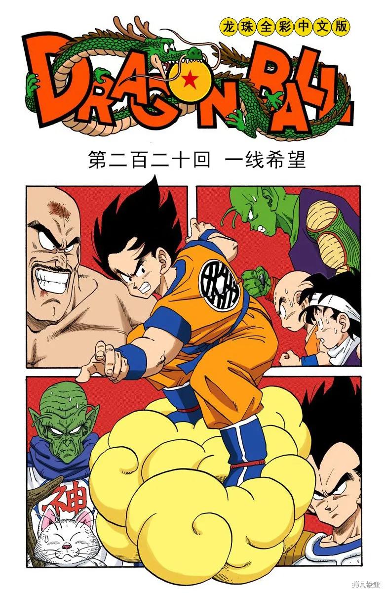 第20页