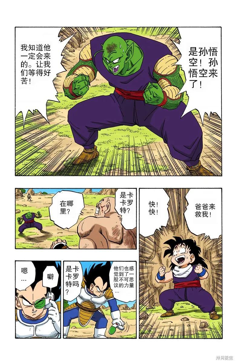 第51页