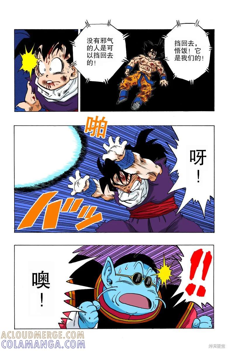 第113页