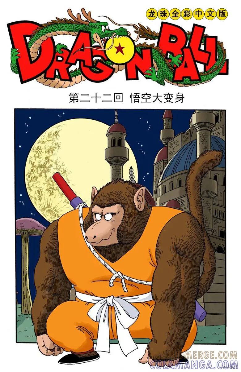 第121页