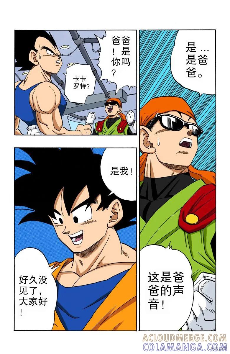 第81页