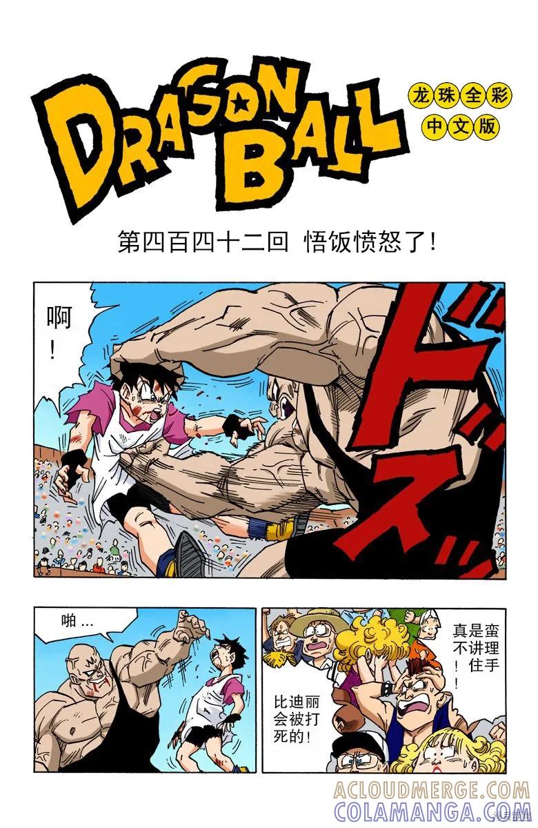 第113页