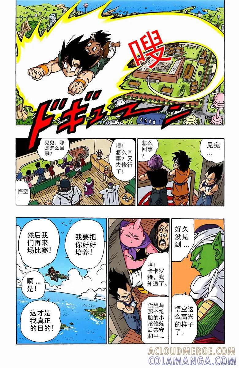 第229页