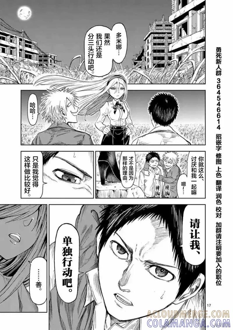 第17页