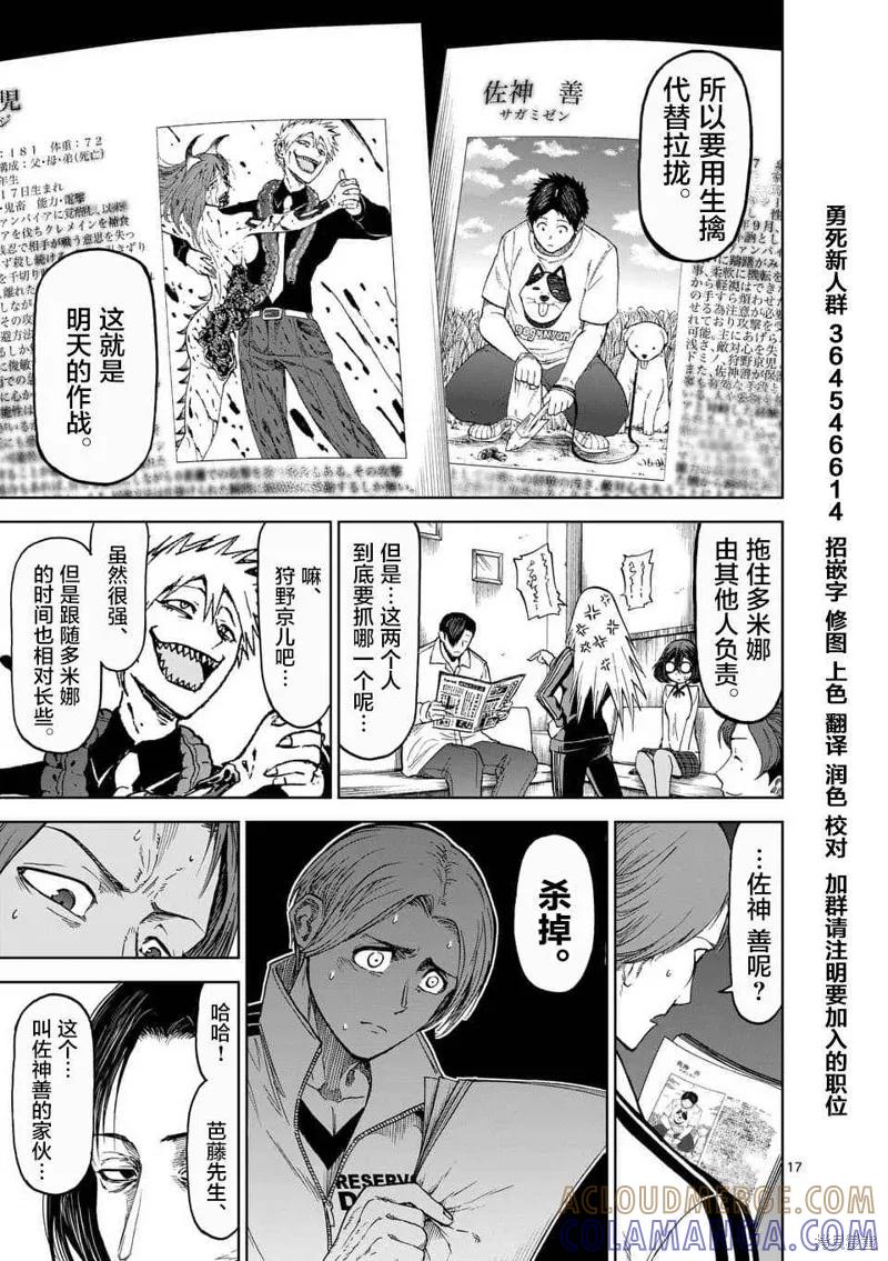 第17页