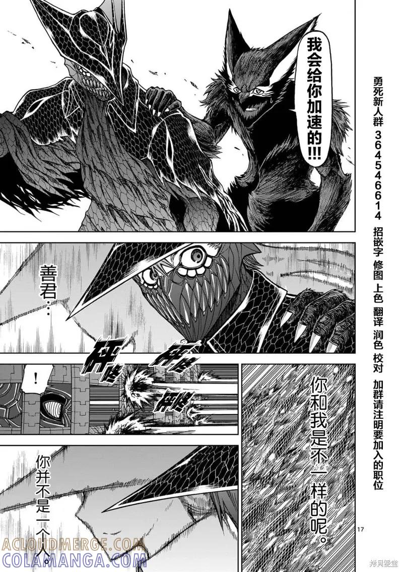 第17页