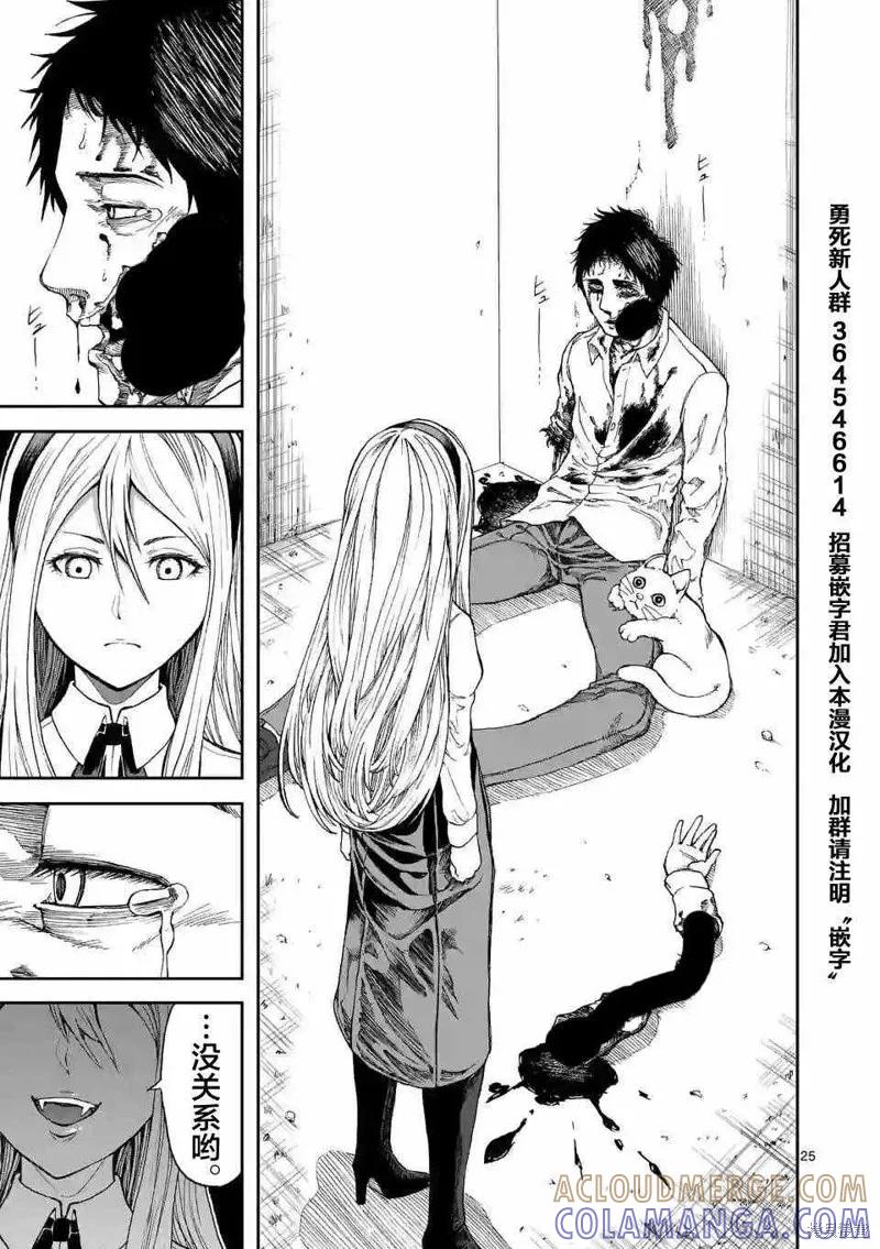 第25页