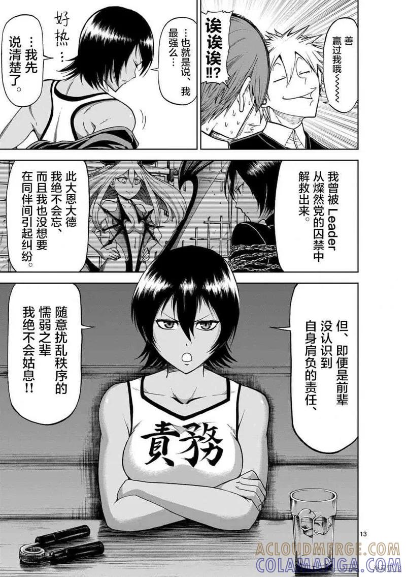 第13页